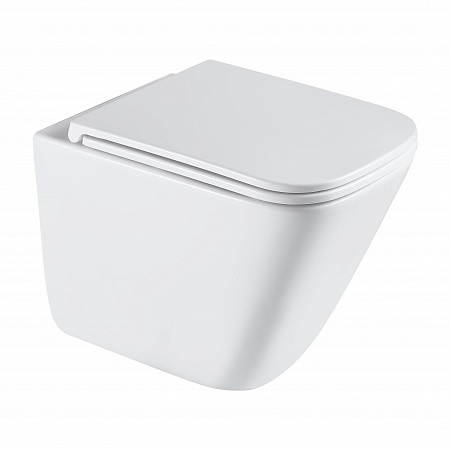 Подвесной унитаз безободковый Terminus Ватикан Monolit 490х340 белый Рыбинск - фото 2